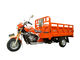 Policía motorizado adulto de Van de entrega del triciclo de Trike del cargo China tres con el cargador pesado del cargamento