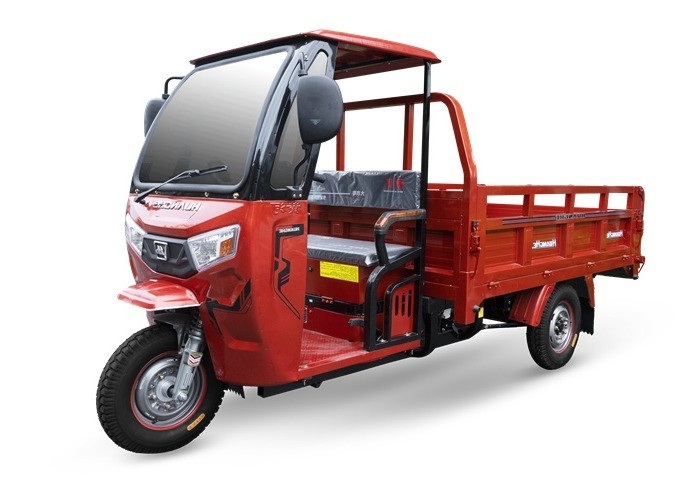 Triciclo eléctrico de carga de cabina de 3000W con toldo de color y tamaño personalizables