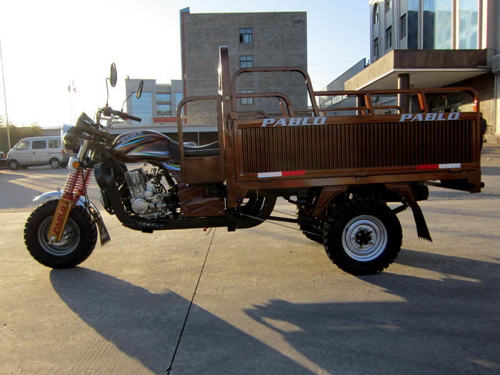 Motocicleta de oro del cargo de la rueda del color tres para el montar a caballo de larga distancia