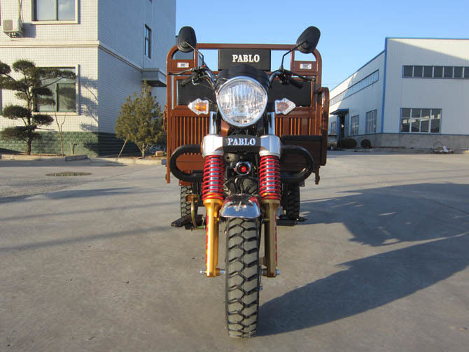Motocicleta de oro del cargo de la rueda del color tres para el montar a caballo de larga distancia