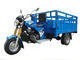 Planche el triciclo motorizado del cargo 250cc de la impulsión de eje con el árbol diferenciado para el cargamento pesado
