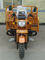 Motocicleta del cargo de tres ruedas/motocicleta 300cc de la rueda de rey Loader Gasoline 3